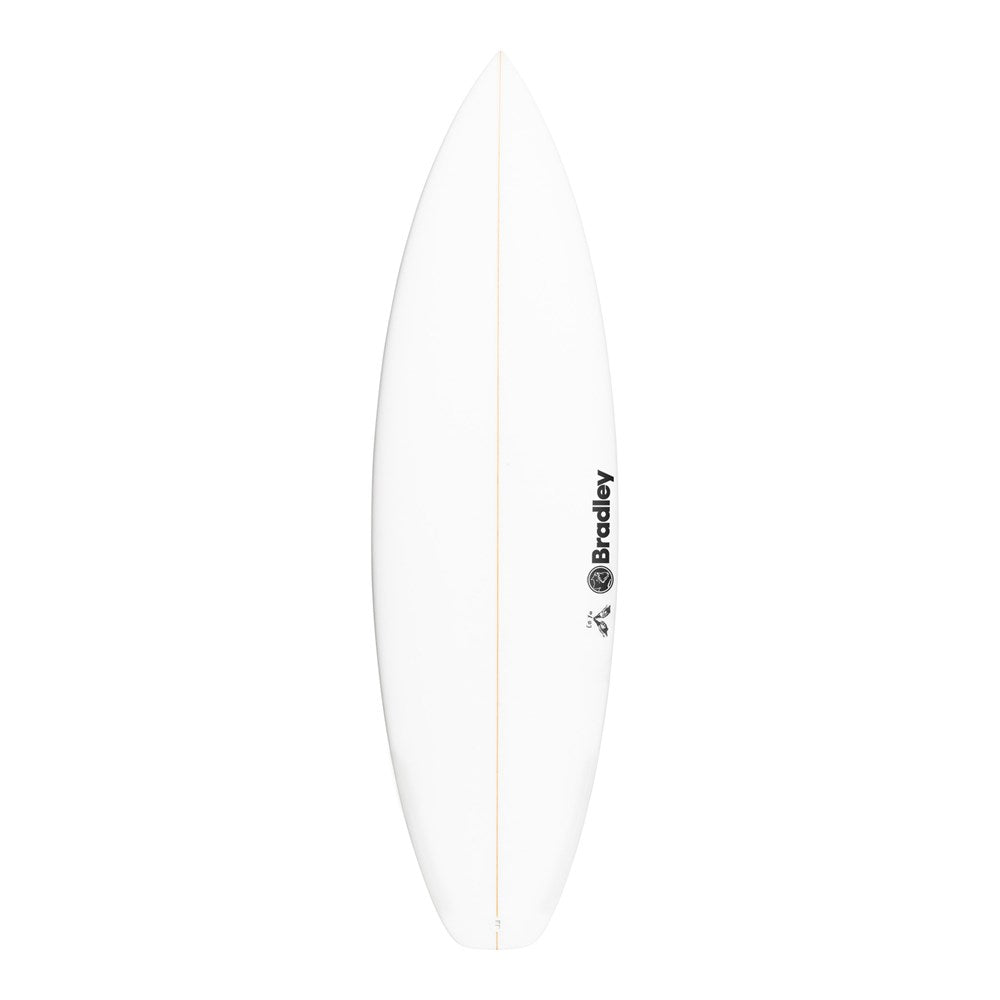 Christiaan Bradley Surfboard Onya